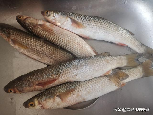 它“天然健脑”4块钱一斤胜过吃肉，健脑补钙营养好，不懂吃可惜