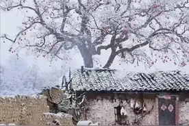 兰州往事：假行僧车鹏的神奇传说图片