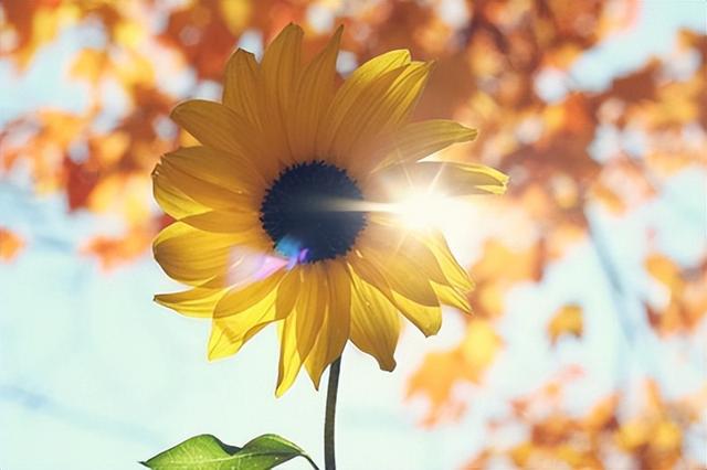 怎么保持乐观开朗的心态?不妨试试这三招