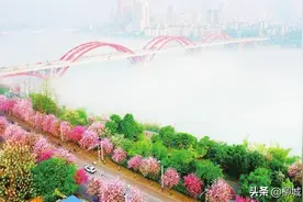 建设现代制造城 打造万亿工业强市广西柳州：实业兴市迈大步 开放强柳谱新章图片