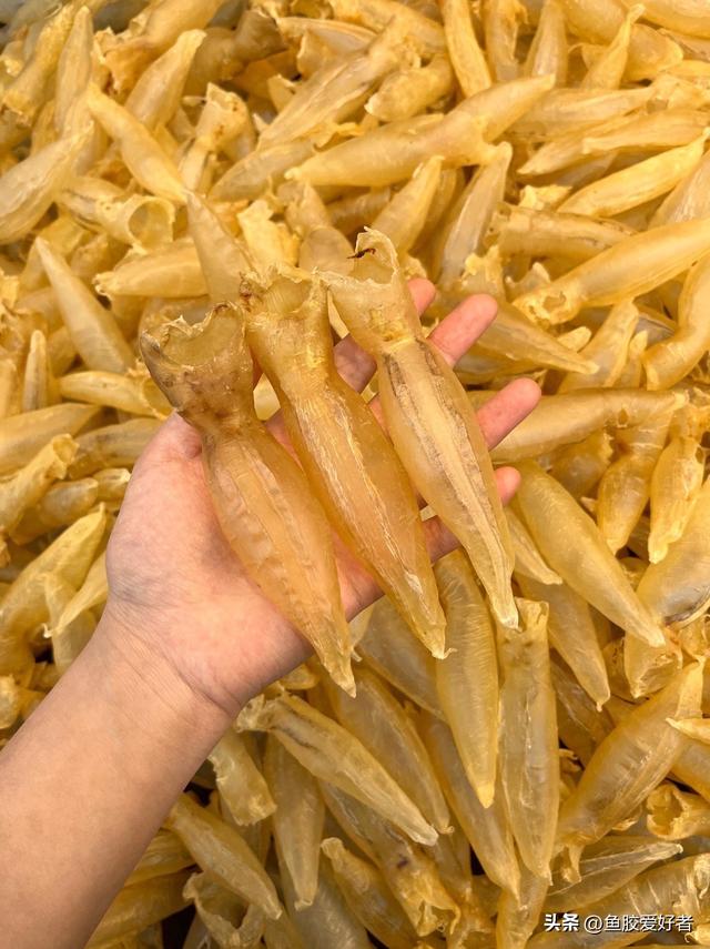经常加班的人吃花胶的好处 经常吃花胶是否能去斑