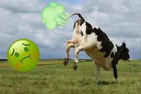 什么，牛放屁竟然是全球气候变暖的罪魁祸首？图片