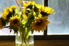 真的想你了，致最牵挂的你图片