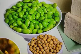 谁是植物蛋白“魔术师”？图片