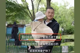 祸不单行！李亚鹏违规在别墅小院种菜，被物业警告后发视频道歉图片