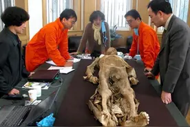 清朝孕妇难产，被家人误认为已死下葬，300年后才知墓中惨样图片