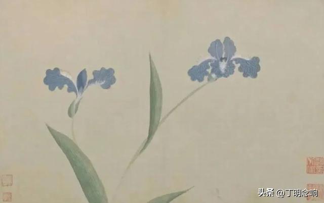 《图解本草纲目》适合普通人阅读的博物志