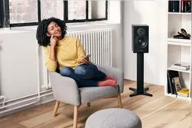 无丹拿不“音响”！丹拿新意境系列书架音箱，万元内2.0旗舰标杆图片