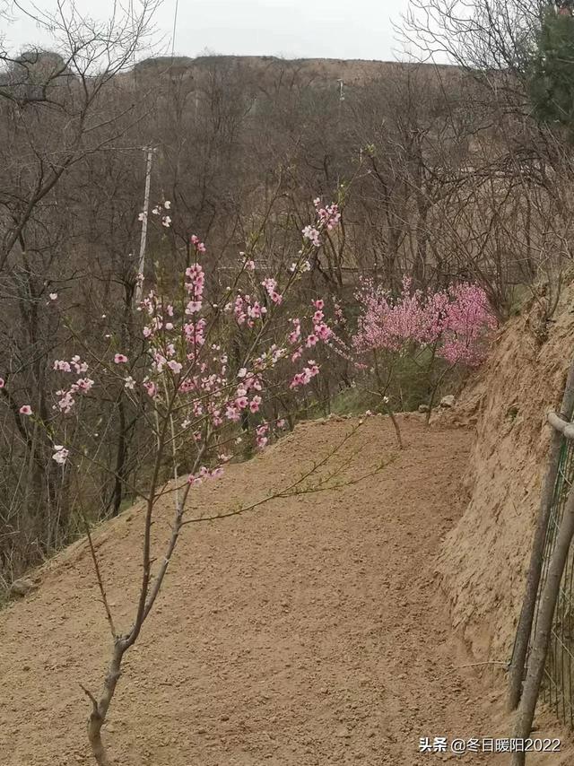 （情感美文）记忆深处的一块糖
