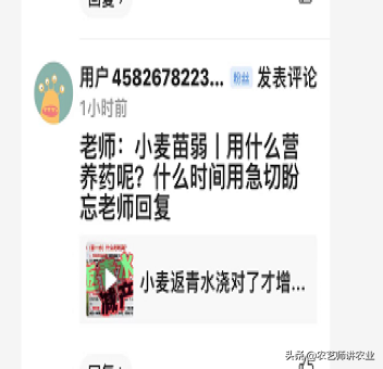 答粉丝问：小麦弱苗、黄苗用什么营养药！「农艺师讲农业」