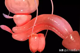 前列腺增生吃了几年药，没效果了，又不想开刀，该怎么办？图片