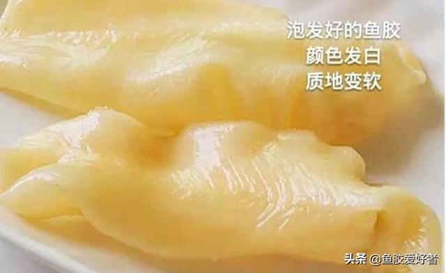 花胶泡发可以用自来水 花胶泡发用自来水行吗