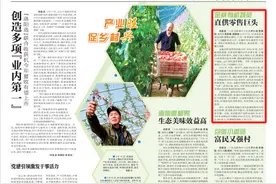商城县：金寨有机蔬菜 直供零售巨头图片