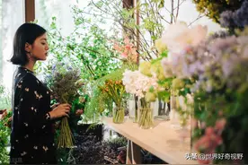6种天然驱蚊植物图片