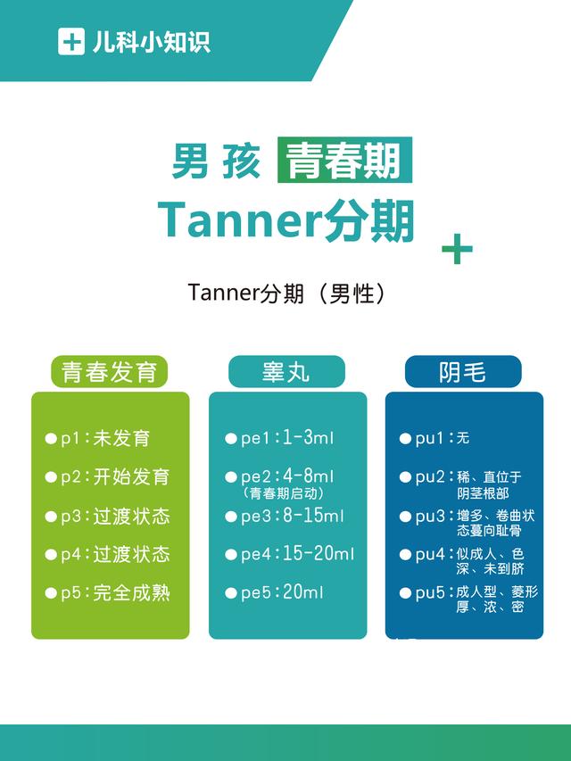 男孩变声长喉结后，女孩来月经后，分别还能长多少？家长心中有数