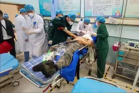 男子挖野菜，被黑熊舔没双眼，为何俄罗斯人揍熊，我们只能被揍？图片