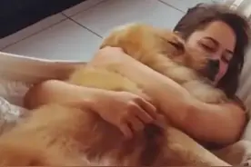 为什么单身女生都喜欢养大型犬呢？这背后到底有什么秘密图片