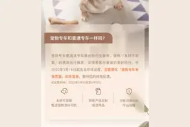 滴滴有宠物专车了？不用担心货拉拉不拉拉布拉多了？图片