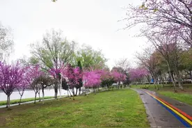 免费露营！荆州首批，位置在这儿→图片