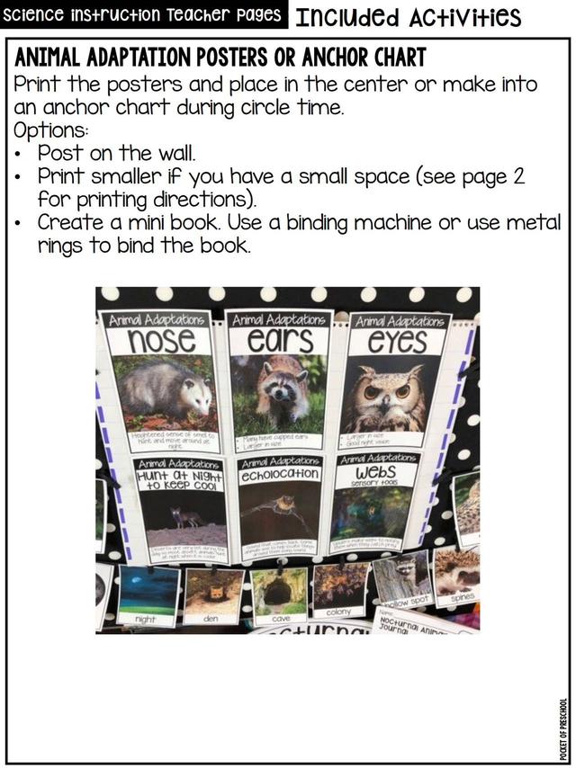 С��ѧ��̽��ϵ��֮ҹ�ж������׻�زİ�