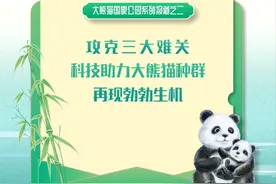 攻克三大难关 科技助力大熊猫种群再现勃勃生机——大熊猫国家公园系列报道之二图片