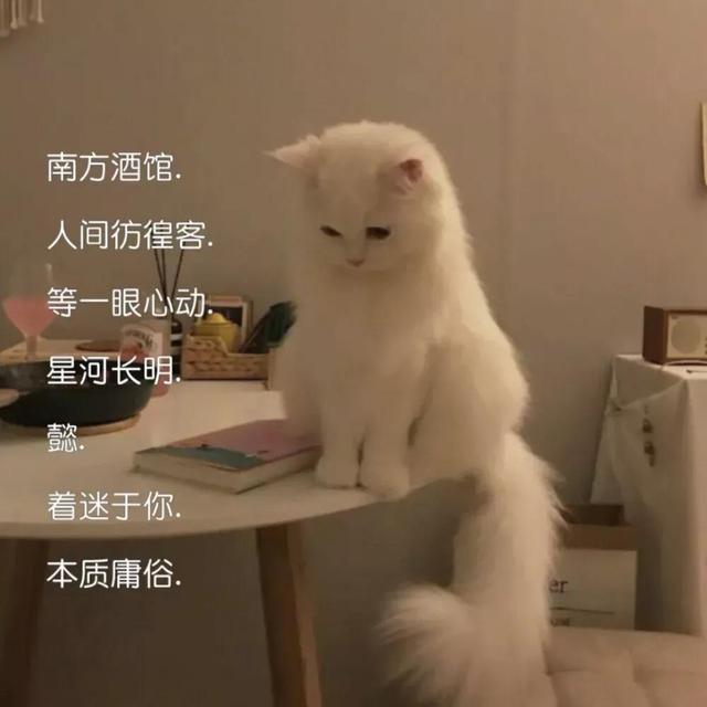 insحɰС΢