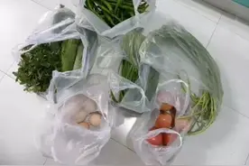 塑料袋的危害有多大？图片