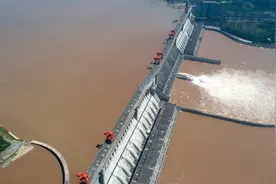 三峡水库出现大量鱼群！库区蓄水20年，为何成为鱼儿的天堂？图片