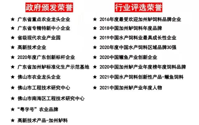 帮农户降低超50%养殖成本！杰大饲料在全国首先实现鳜鱼全程投料丨南海农业龙头企业④