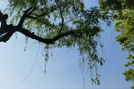 青岛女博士看仓库，践踏公众底线图片