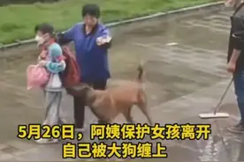 武汉保洁阿姨为保护陌生女孩被大狗纠缠一个多小时，路人吓得报警图片