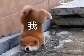 @所有人 华西专家请你周六来做“大保健”啦~图片