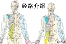 经络不通，百病生，一味中药，帮你防百病，通血脉，活瘀止疼痛图片