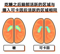 学习笔记之为什么总是感到饿