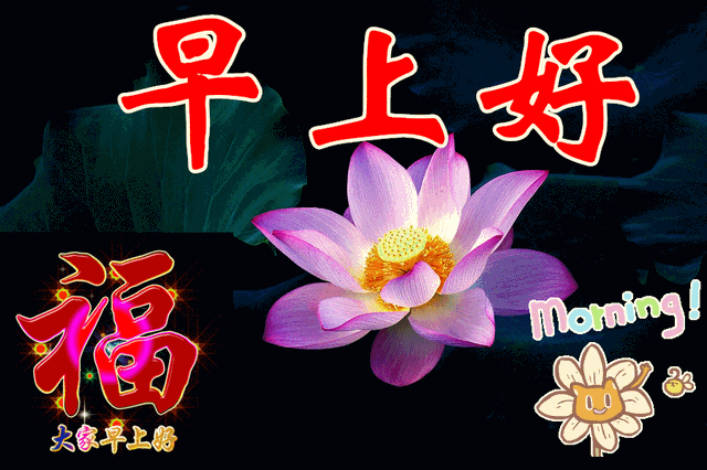 最新微信打招呼早上好问候语动态图带字 2022漂亮早上好表情图带字