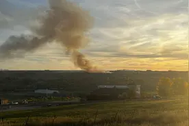 美军F35战机或因撞鸟坠毁，飞行员差点挂树上，中国产合金不背锅图片