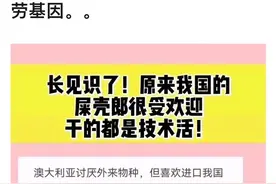 「知识局」澳洲为什么追捧中国屎壳郎？图片