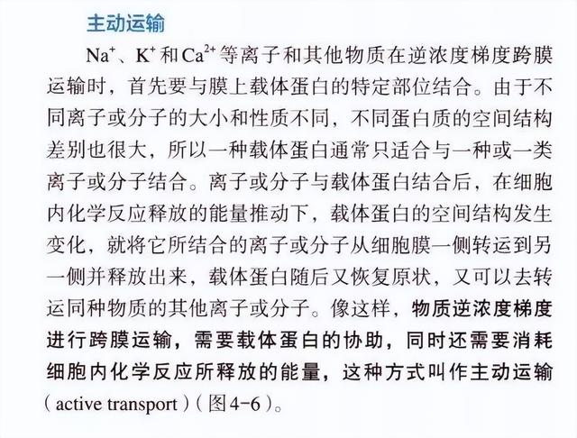 主动运输的三种能量供应原理