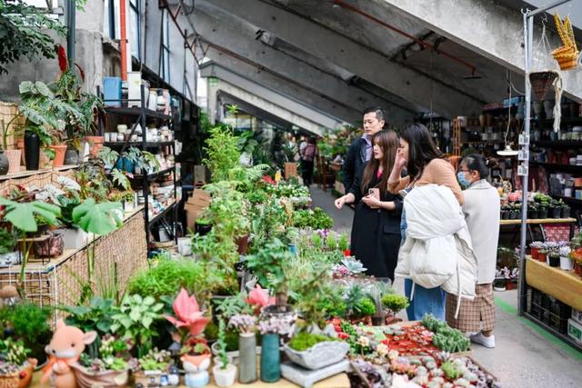西安这个曾经全国最大的毛巾厂,现在竟搞起了花鸟鱼市的生意