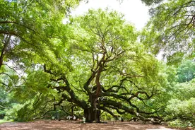 如何选择适合自己的头像（一）图片