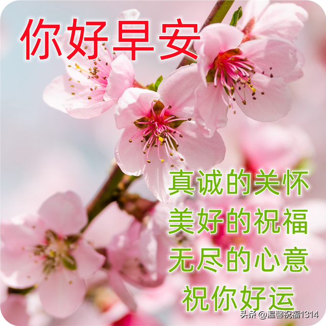 11月15日星期二最新早上好问候图片带字 微信群发暖心的早安图片