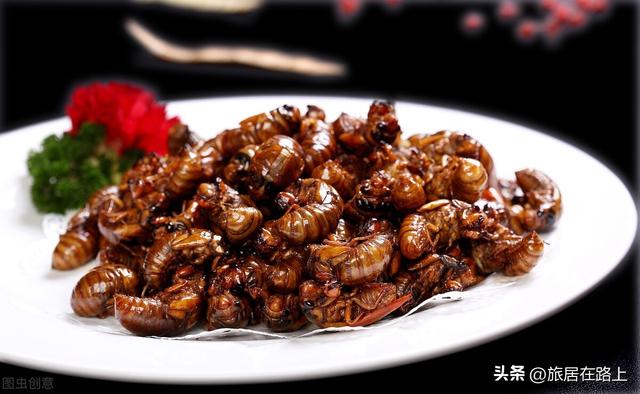 知了在声声叫着夏天，我们来蝉中说蝉，聊聊关于蝉的冷知识