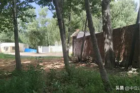 范丞丞在娱乐圈，范冰冰提携，自己努力！图片