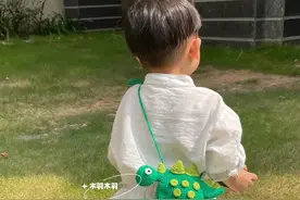 钩针图解：恐龙包包图片