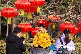 图集｜立春时节，来郑州动物园撒个欢吧图片