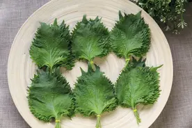 喝绿豆汤不如喝它！排湿气、解暑热，还不伤脾胃！夏天要常喝~图片