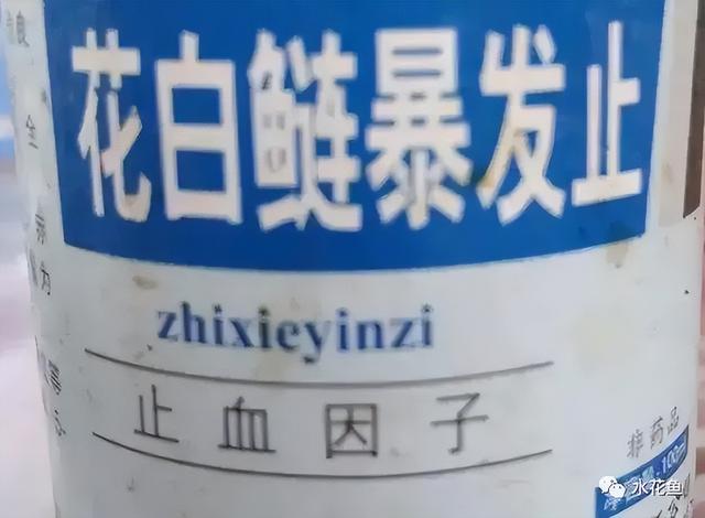 简析疑难杂症——鱼类败血症的防控：难治的集多症状于一身的鱼病