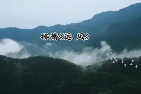 《远风》| 轻柔旋律，拨人心弦。图片
