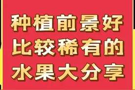种植前景好，而且比较稀有的水果品种大分享，请收藏！图片