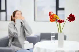 @过敏体质者：脱敏治疗你知道多少？图片